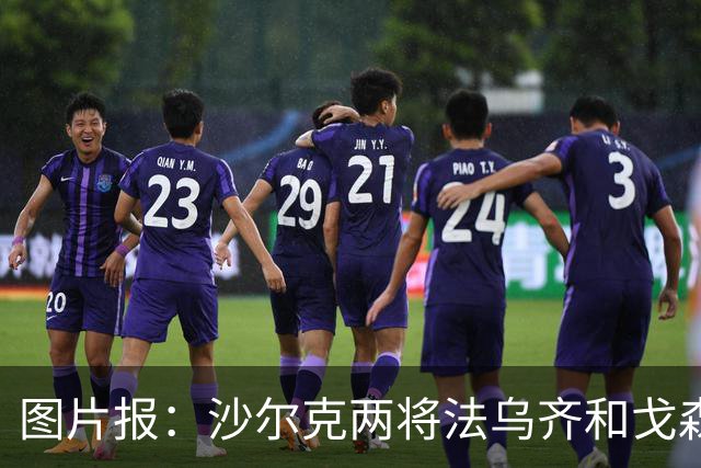 图片报:沙尔克两将法乌齐&戈森斯严重撞伤,将缺席杯赛