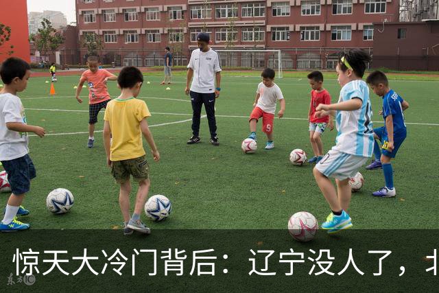 惊天大冷门背后：辽宁没人了，北京不敢动，杨鸣和李楠都在演戏？