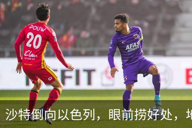 沙特倒向以色列，眼前捞好处，地缘亏得底朝天